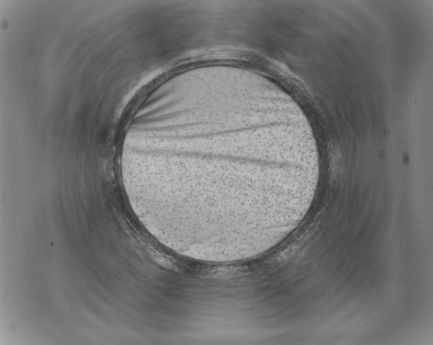 X0000076101166200610152336