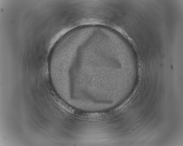 X0000076101167200610152336