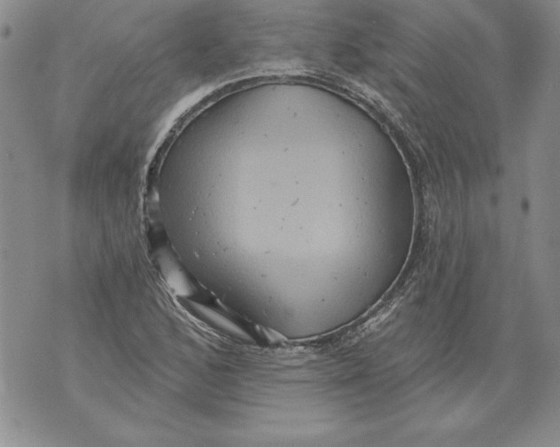 X0000076101168200610152336