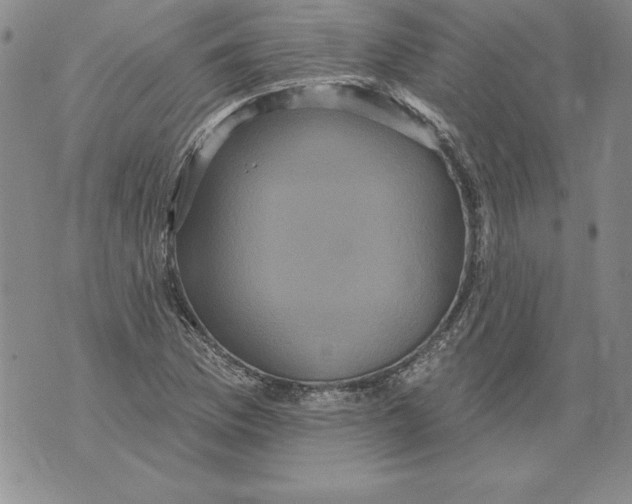 X0000076101169200610152336