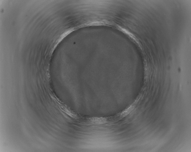 X0000076101170200610152336