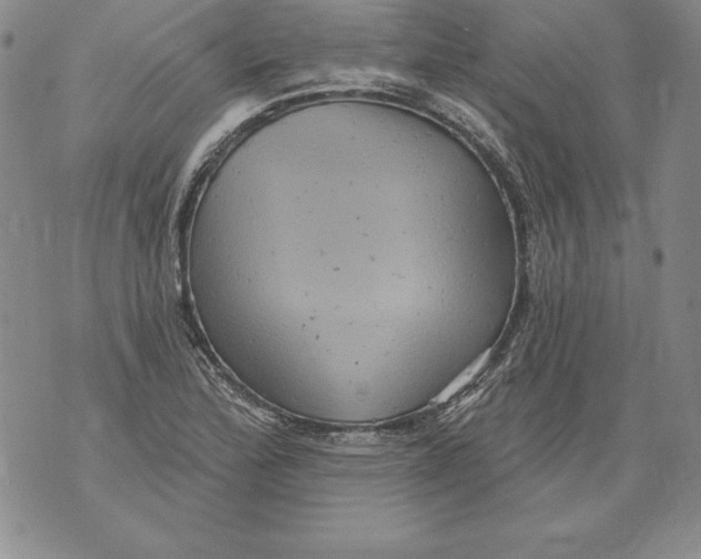 X0000076101172200610152336