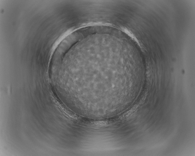 X0000076101173200610152336