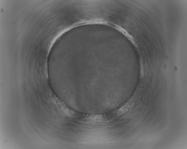 X0000076101174200610152336