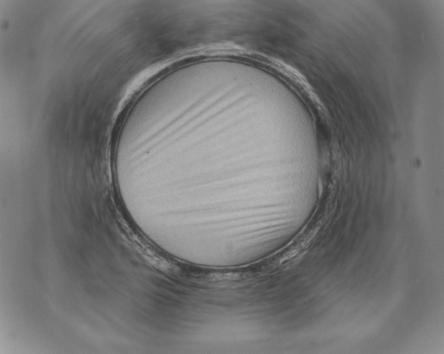 X0000076101176200610152336