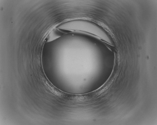 X0000076101177200610152336