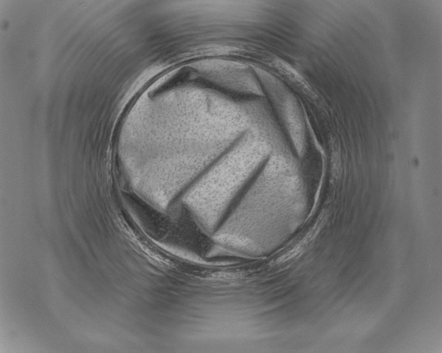 X0000076101178200610152336