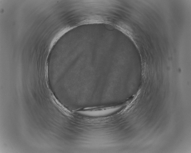 X0000076101179200610152336