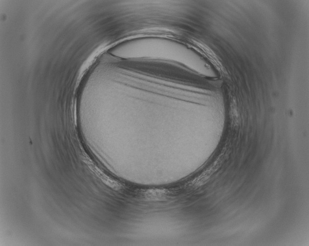 X0000076101180200610152336