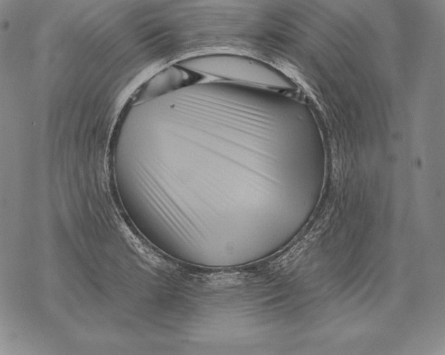 X0000076101181200610152336