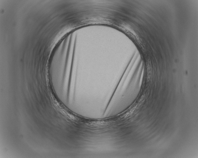 X0000076101182200610152336