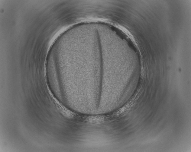 X0000076101183200610152336