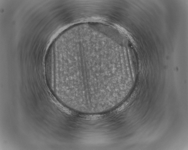 X0000076101184200610152336