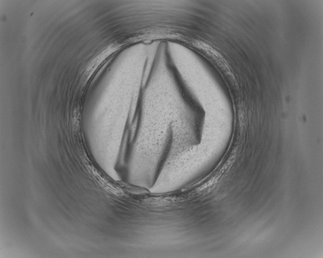 X0000076101185200610152336