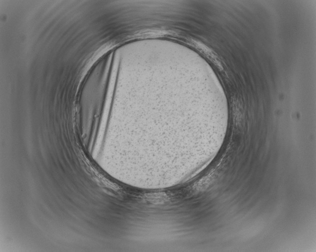 X0000076101186200610152336