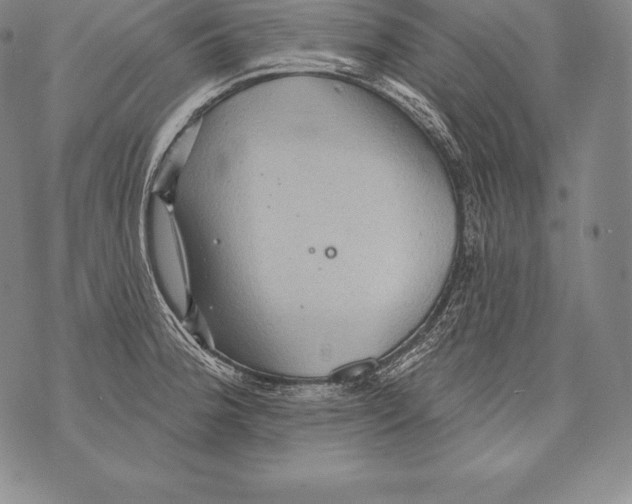 X0000076101188200610152336