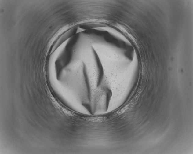 X0000076101189200610152336