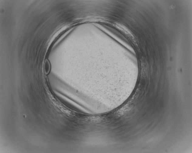 X0000076101190200610152336