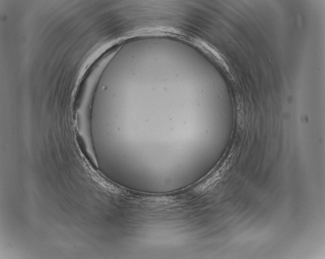 X0000076101192200610152335