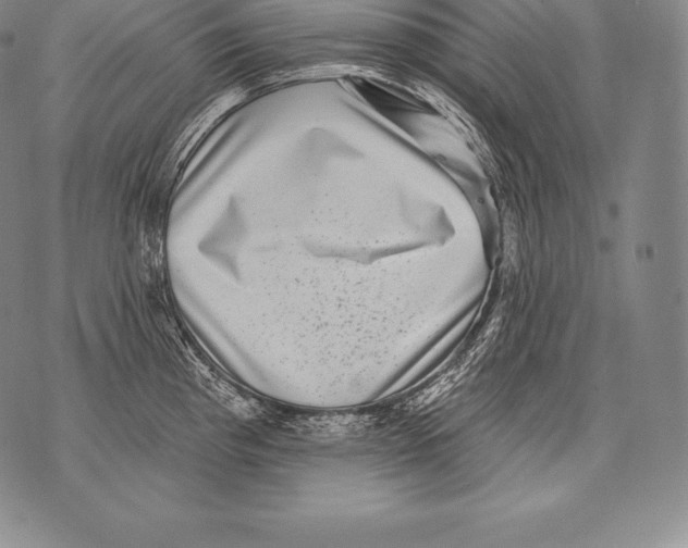 X0000076101193200610152335