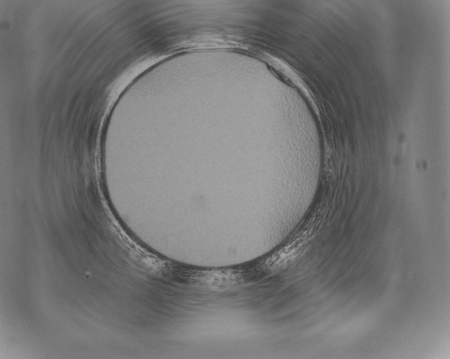 X0000076101195200610152335