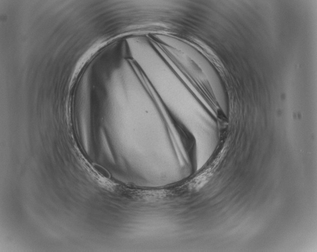 X0000076101196200610152335