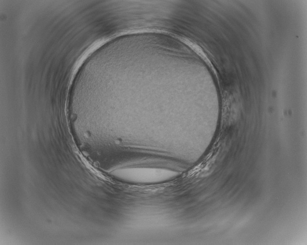 X0000076101197200610152335