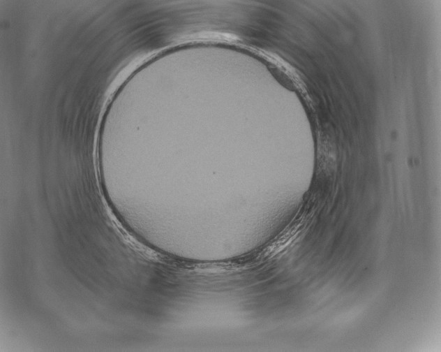 X0000076101199200610152335