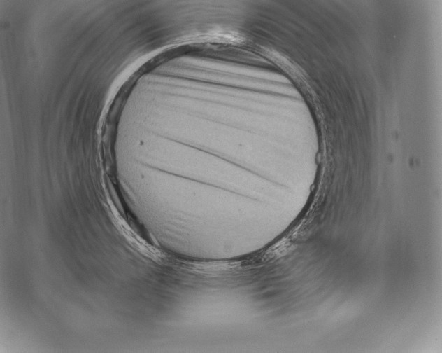 X0000076101200200610152335