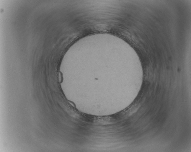 X0000076101201200610152335