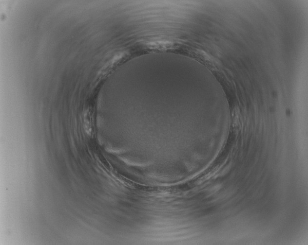 X0000076101202200610152335