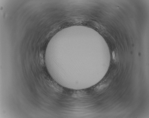 X0000076101203200610152335