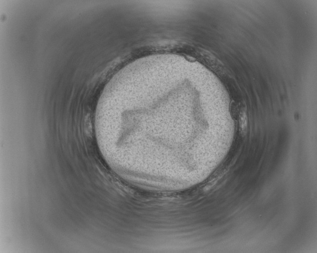 X0000076101204200610152335