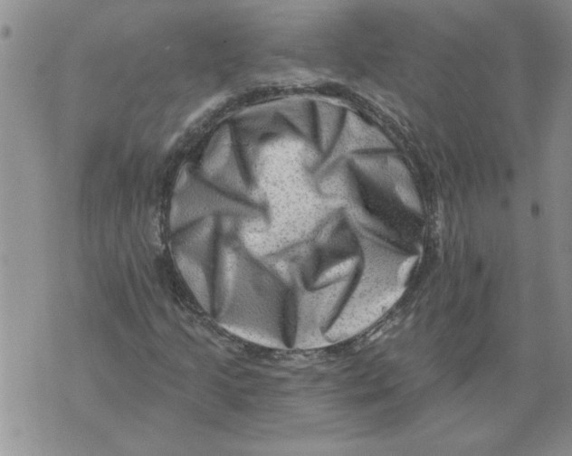 X0000076101205200610152335