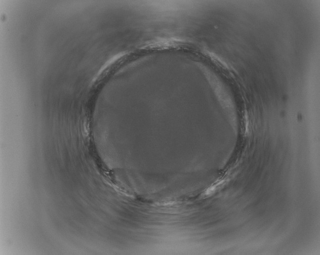 X0000076101206200610152335