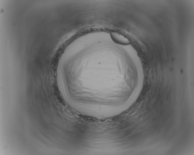 X0000076101207200610152335