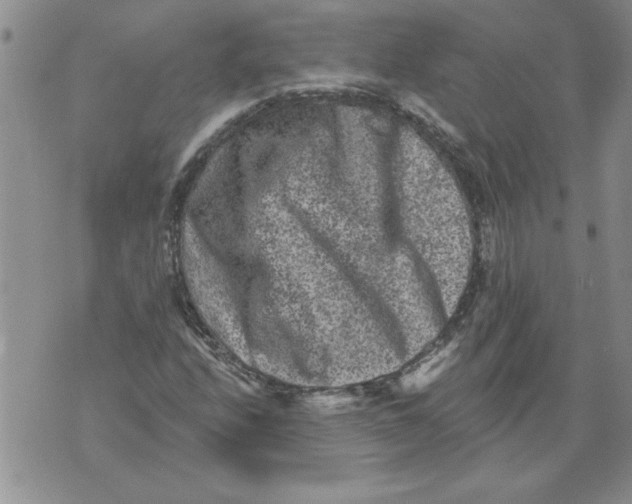 X0000076101208200610152335