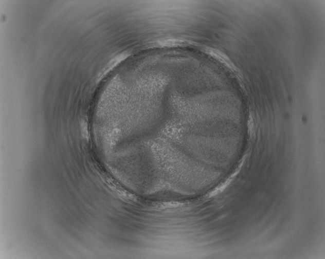 X0000076101209200610152335