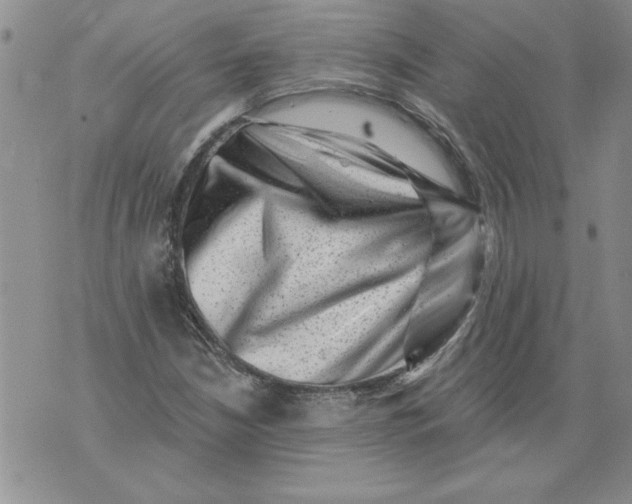 X0000076101210200610152335