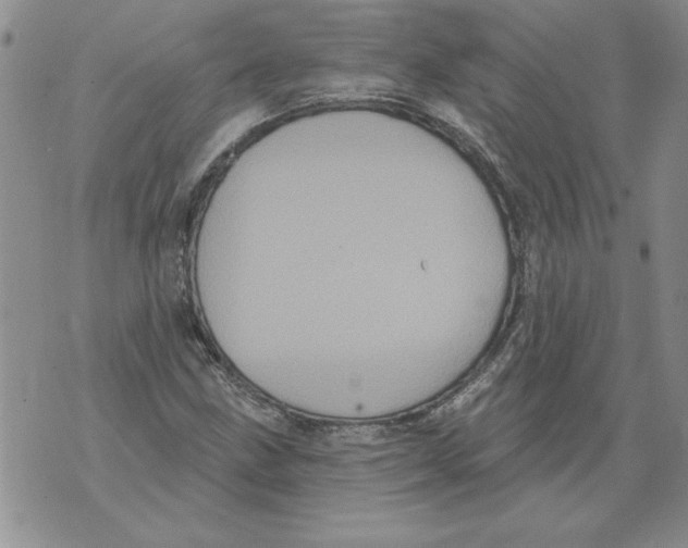 X0000076101211200610152335