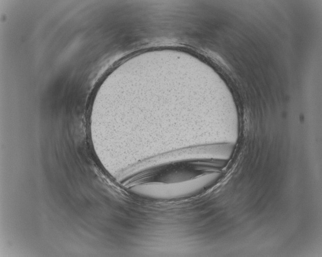 X0000076101212200610152335