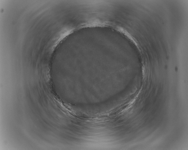 X0000076101213200610152335