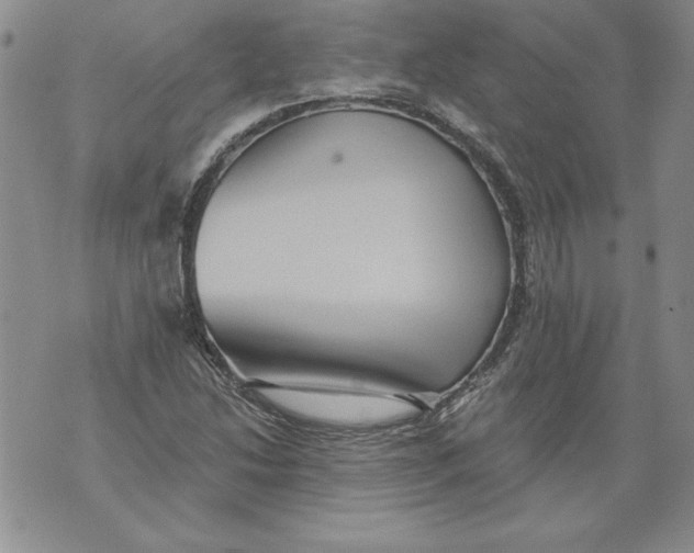 X0000076101214200610152335