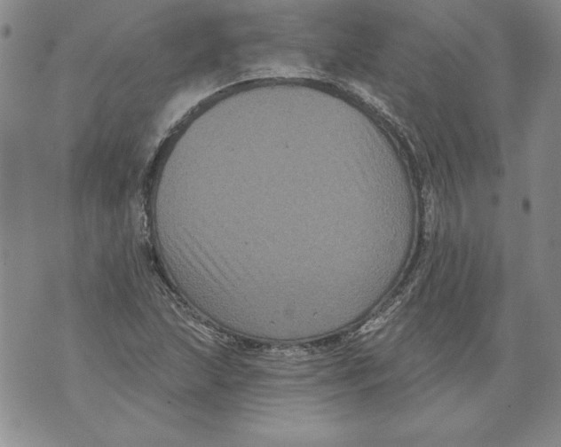 X0000076101215200610152335