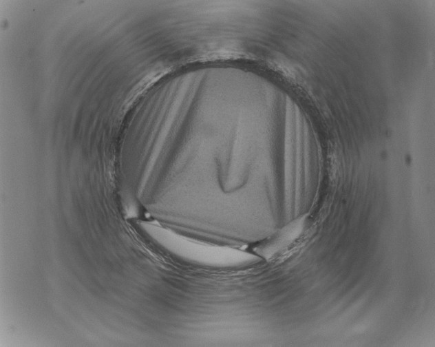 X0000076101217200610152335