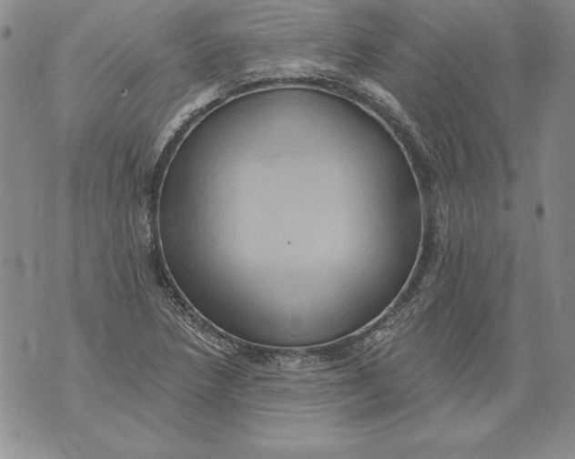 X0000076101218200610152335