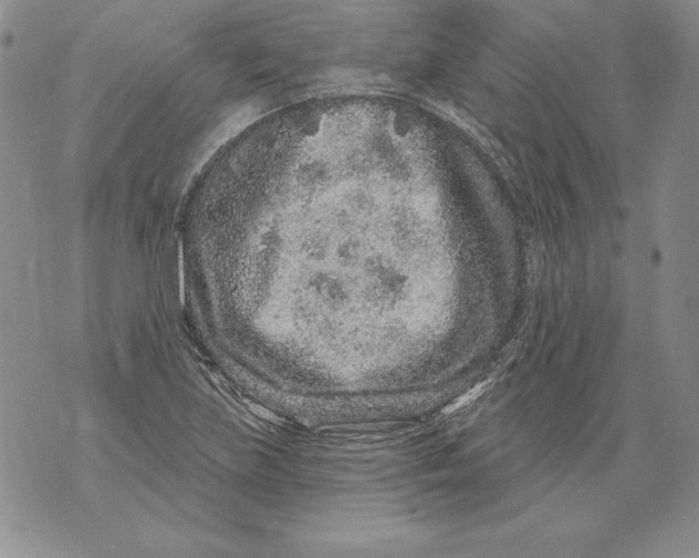 X0000076101219200610152335