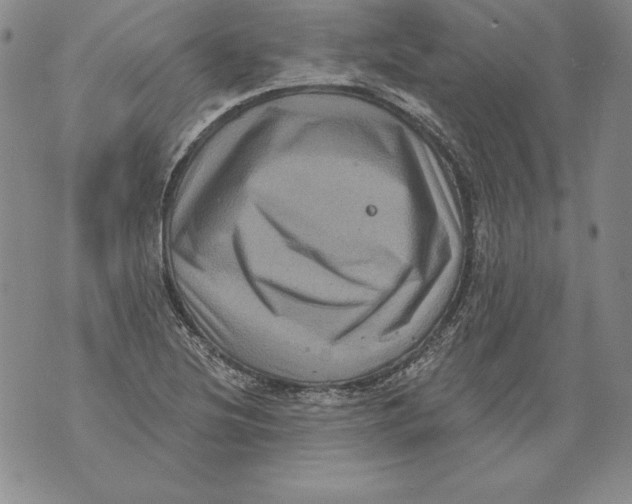 X0000076101220200610152335