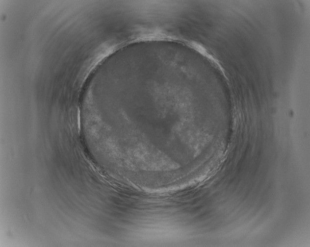 X0000076101221200610152335