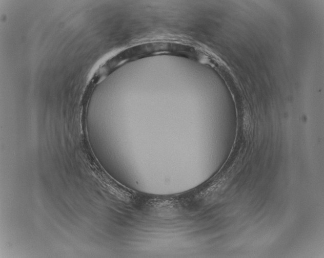 X0000076101222200610152335